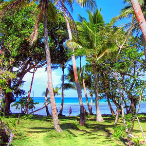 Nananu-i-ra Island