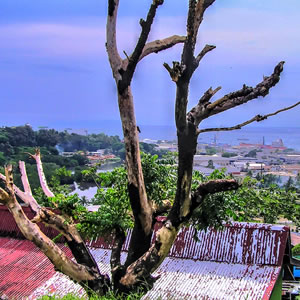 Vista of Suva, Fiji